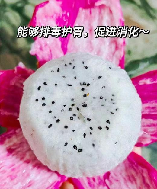 越南白心火龙果 大果 【礼盒】 商品图4