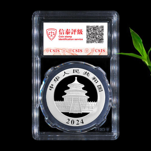 2024熊猫30克银币 封装纪念版 商品图1