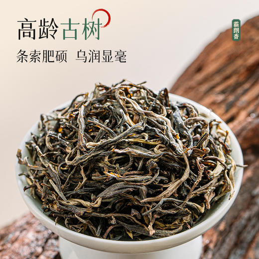 澜沧古茶2024年霸朗香布朗山明前古树纯料春茶散茶60g/罐 商品图2