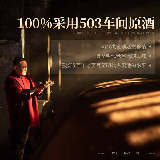 【五粮液新品 家宴限定款】五粮液·百鸟朝凤系列 浓香型白酒 52%vol 商品图3