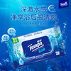 【FL满减专区】Tempo得宝 
纯水湿厕纸80片/包 净享清爽洁净FL/ 厕用湿巾 商品缩略图0