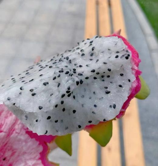 越南白心火龙果 大果 【礼盒】 商品图5