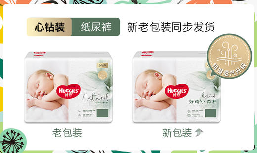 【4包364元】好奇心钻 小森林 纸尿裤 拉拉裤【厂家涨价，速囤！！】【新老包装混发】 商品图1
