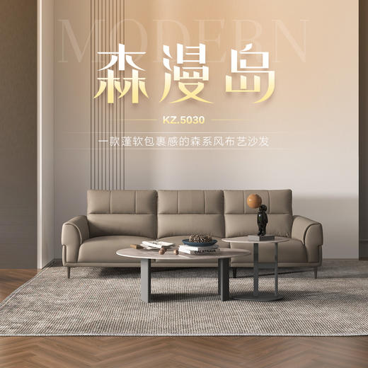 顾家家居整装 现代简约 布艺固定沙发 KZ.5030-森漫岛 商品图0