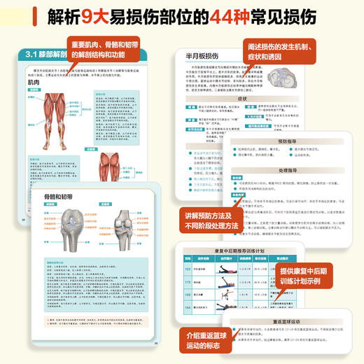 篮球运动损伤的预防与康复训练 运动康复书籍 商品图1