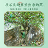 【春茶预售】澜沧古茶2024年曼岗古树春茶散茶300g/盒 商品缩略图2