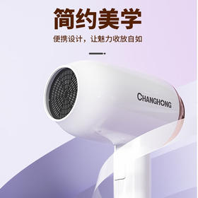 长虹DCF-1210A01电吹风