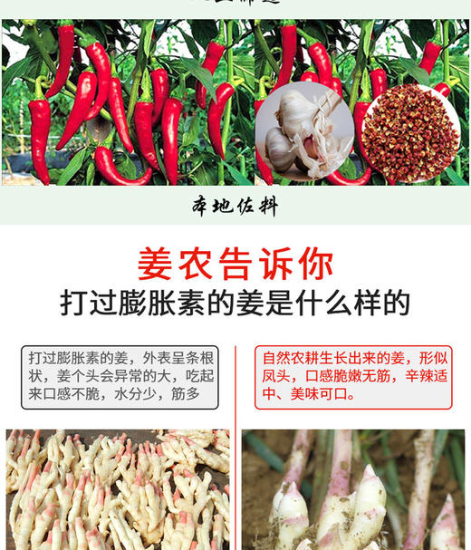 BQT恩施风头姜1KG/盒 商品图4