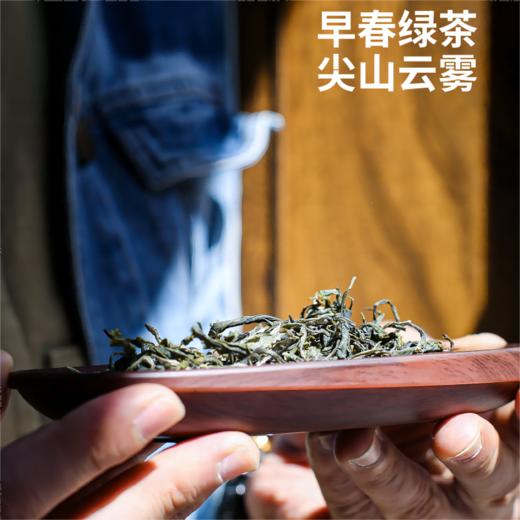 云南龙井】凤齐号-尖山云雾（龙井袋装） 商品图0