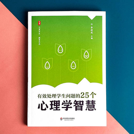 有效处理学生问题的25个心理学智慧 大夏书系 教师读物教育心理 李进成 商品图1