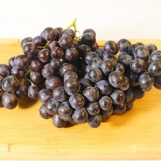 智利进口玫瑰香无籽黑提2斤装 商品图5