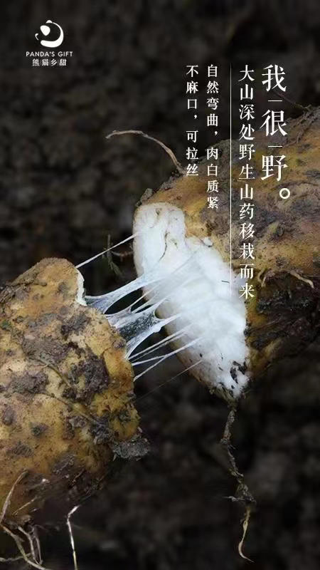 高山山药，全球第一只大熊猫发现地
全县约86%的面积在大熊猫国家公园范畴内，同时还是神药之乡，动植物王国，在海拔2000米的高山上，紧邻森林，土壤肥沃，有机质丰富，给山药的生长提供优越的环境！ 商品图0