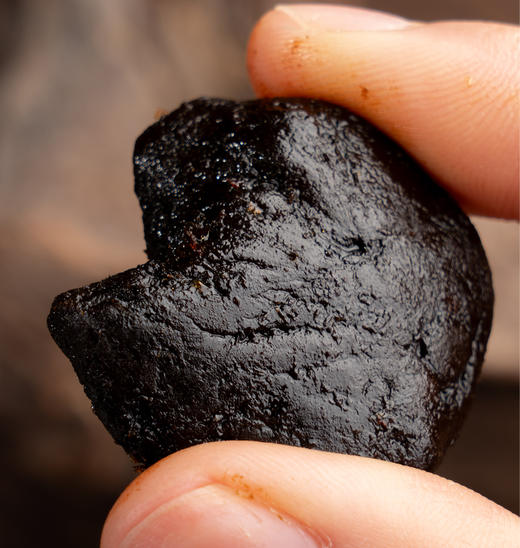 【九蒸九晒黄精】以黑养黑 焦香浓郁 油性十足 零食泡茶两用 lc 商品图2