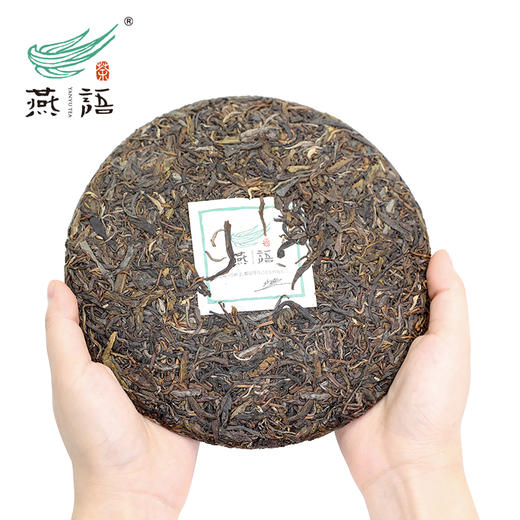 燕语·叶其香（普洱生茶）礼盒349g 商品图3