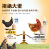 【好念头】始祖黑鸡可生食鸡蛋30枚礼盒 商品缩略图1