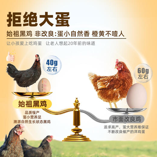【好念头】始祖黑鸡可生食鸡蛋50枚 商品图1