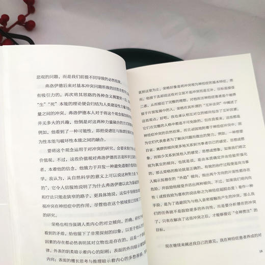 （5折包邮）我们内心的冲突（完整全译本，心理学大师写给普通人的心理自救书。拒绝精神内耗，附赠思维导图） 商品图8