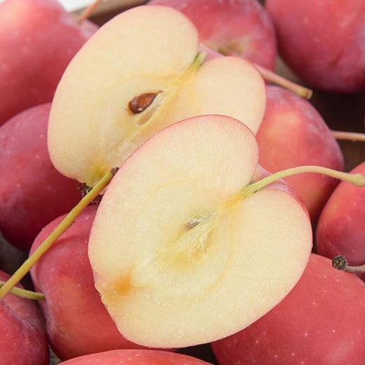 新疆小苹果500g（冰糖心） 商品图0