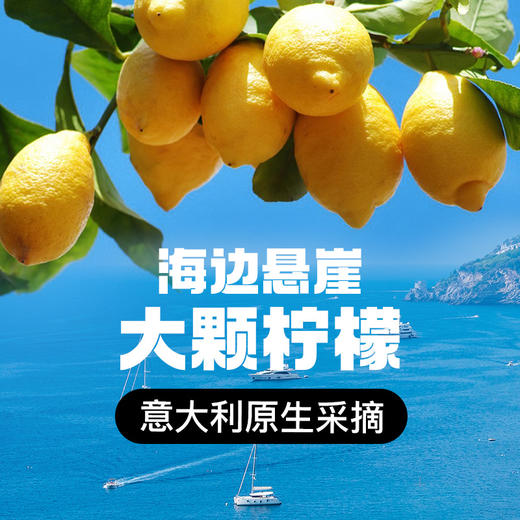 【新品尝鲜】疯狂波尼 柠檬小麦草 果汁饮料 气泡水 275ml*6瓶 0蔗糖 包邮 商品图3