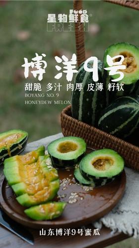 【现摘现发】山东好物 博洋9号甜瓜 2.7/4.5斤