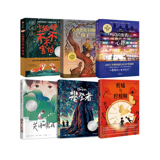 【单册/套装可选】中信精选：改变悲伤王国的孩子+闪闪发光的心愿+攀登者+柑橘与柠檬啊（青少版）+失语的男孩+小狐狸不，不，不害怕（套装6册） 商品图0