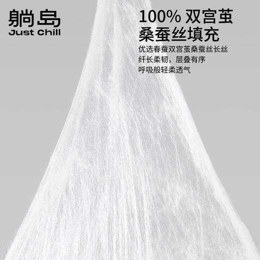 躺岛双宫茧蚕丝被 商品图1