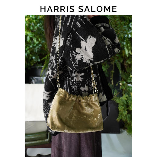 Harris Salome牛皮金链云朵包 商品图3