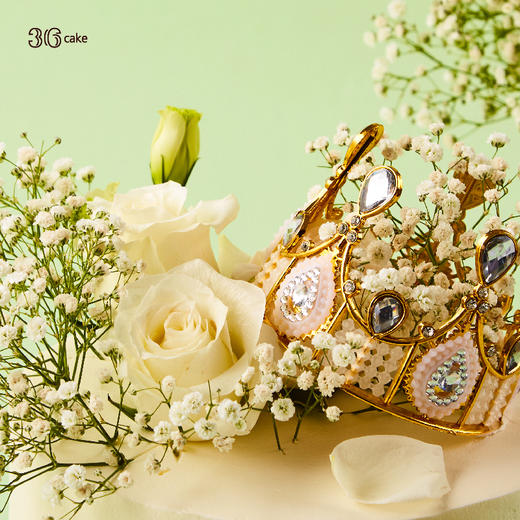 纯白誓约，可选1.5/2.5磅 商品图1