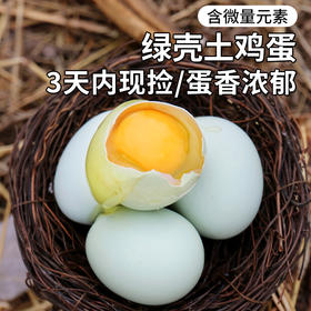密农人家 农家五谷喂养绿壳土鸡蛋  柴鸡蛋 30枚  绿壳笨鸡蛋