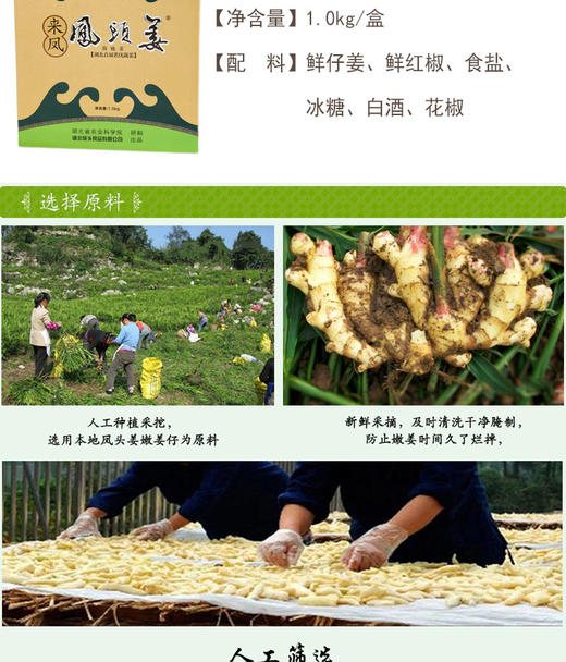 BQT恩施风头姜1KG/盒 商品图3