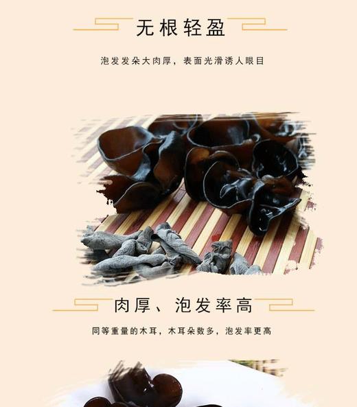 BQT恩施椴木耳200g/罐 商品图3