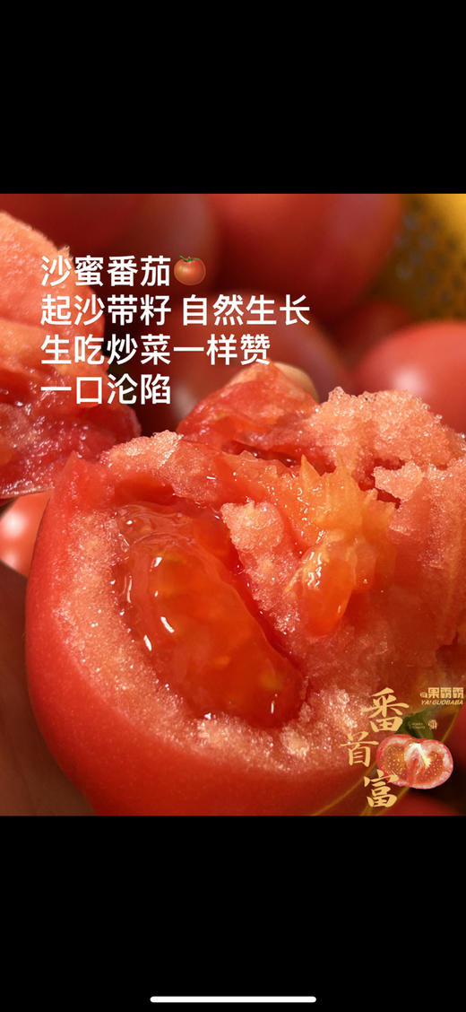 树熟沙蜜水果番茄🍅 商品图2