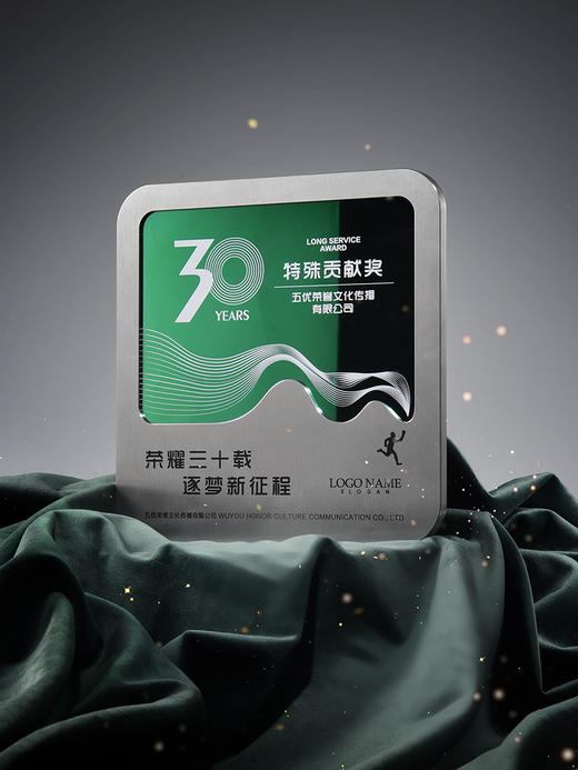 高档纤薄不锈钢金属奖牌定制创意授权牌证书聘书颁奖金银蓝黑绿 商品图1