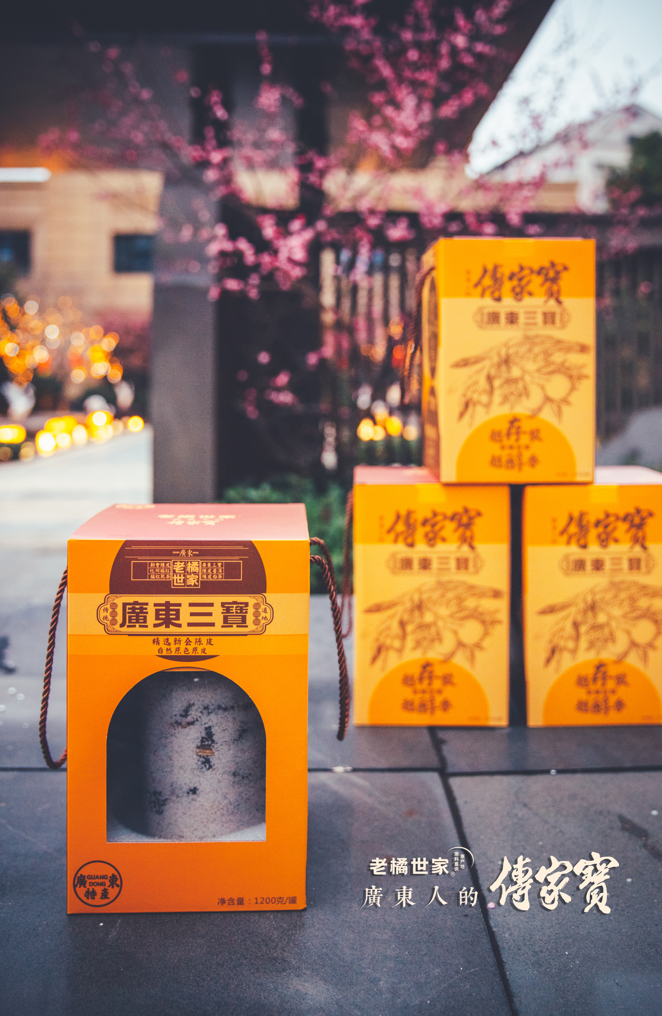 广东三宝  盐三宝  1200g/罐