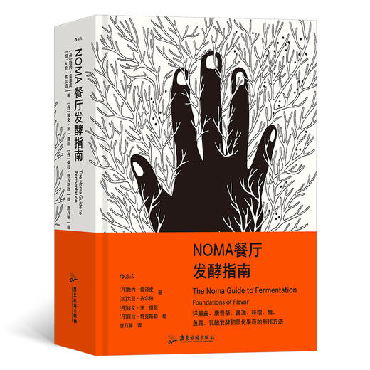 NOMA餐厅发酵指南 商品图0