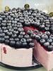 蓝莓千层 商品缩略图0