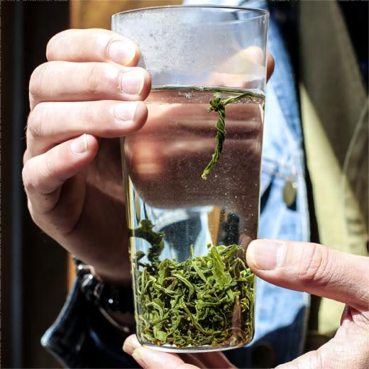 云南龙井】凤齐号-尖山云雾（龙井袋装） 商品图1