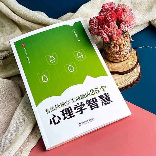 有效处理学生问题的25个心理学智慧 大夏书系 教师读物教育心理 李进成 商品图5