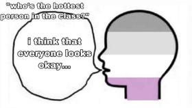  不喜欢doi的人真的存在吗？——与一位喜欢女性的无性吸引者（无性恋）对话 