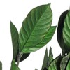 永生花材 | 栀子叶绿色 商品缩略图0