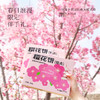 【现货】仟吉 武汉特色樱花饼  320g/盒    商品缩略图4