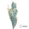 永生花材 | 黄杨牡丹蓝色 商品缩略图0