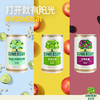夏日纷苹果味黑莓味接骨木花青柠味*200ml各8罐装 商品缩略图1