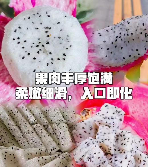 越南白心火龙果 大果 【礼盒】 商品图2