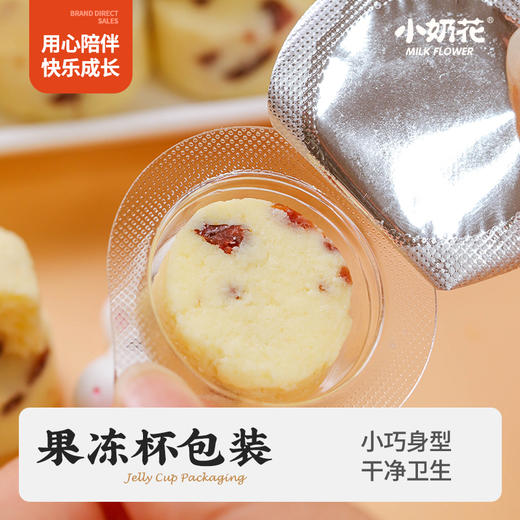 【满口奶香】小奶花 鲜奶厚乳酪 5袋装 原味/蔓越莓味 90g*5 商品图4