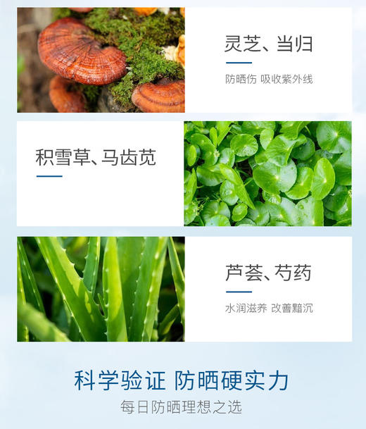 香蒲丽防晒霜60ml新版    荣耀 商品图2