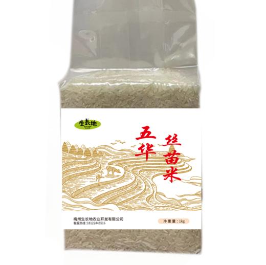 L生长地五华丝苗米（红袋）1kg 商品图0
