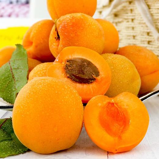 黄金杏500g 商品图2