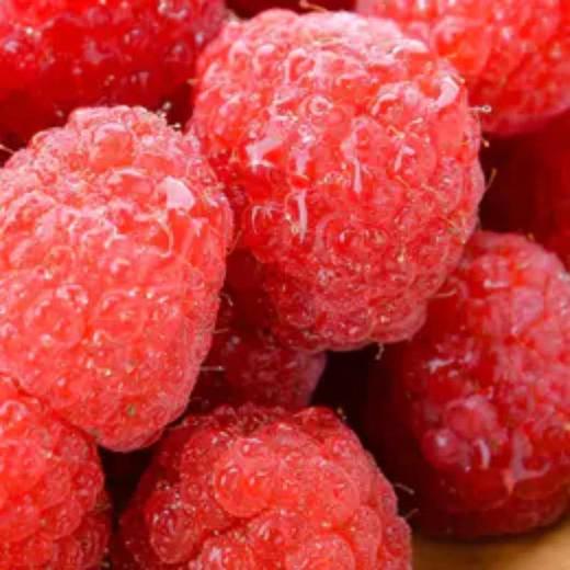 怡颗莓树莓  约125g/盒 商品图1