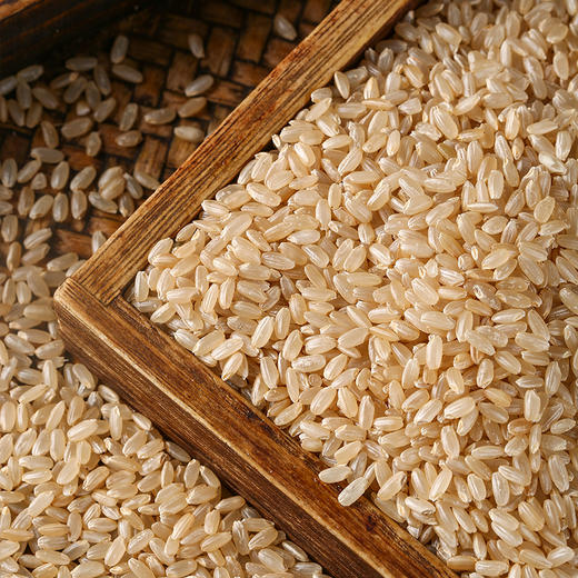 有机糙米 保留皮层与胚芽5斤装【中原仓京东快递发货】 商品图3